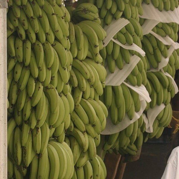 Banana Nendran