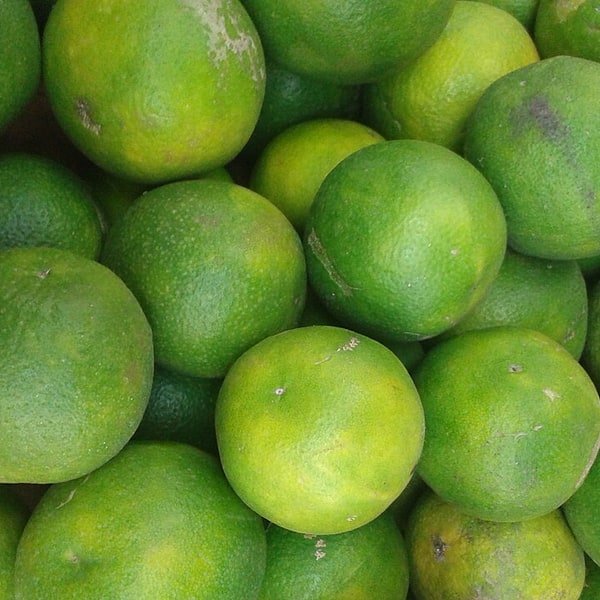 Sweet Lime Mosambi