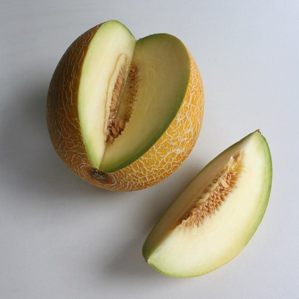 Yellow Melon