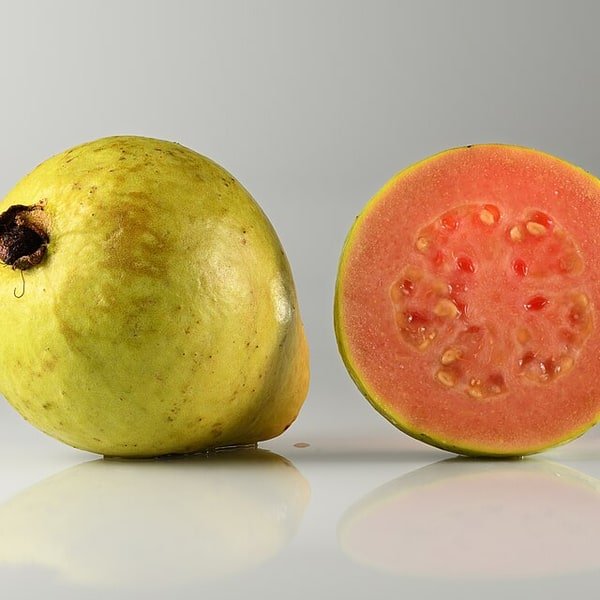 Guava Lucknow 49